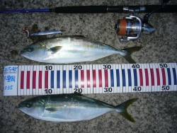 初のオフショアチャレンジ