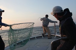 IZANAGI　イザナギ 釣果