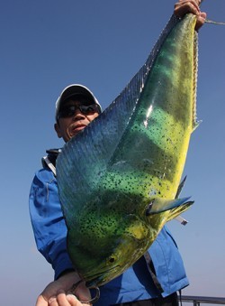 IZANAGI　イザナギ 釣果