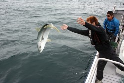 IZANAGI イザナギ 釣果