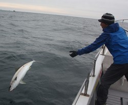 IZANAGI イザナギ 釣果