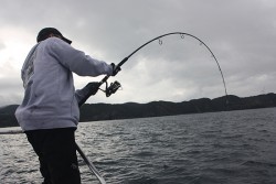 IZANAGI　イザナギ 釣果