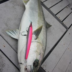 IZANAGI　イザナギ 釣果