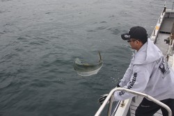 IZANAGI　イザナギ 釣果