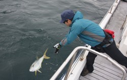 IZANAGI　イザナギ 釣果