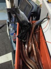 かいもん丸 釣果