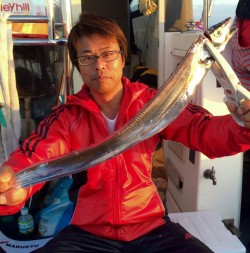 さんさん丸 釣果