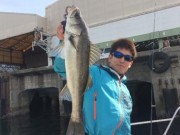 シーマジカル 釣果