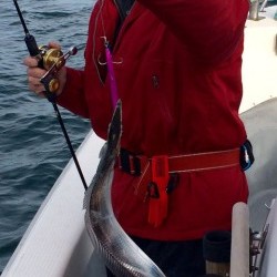 さんさん丸 釣果