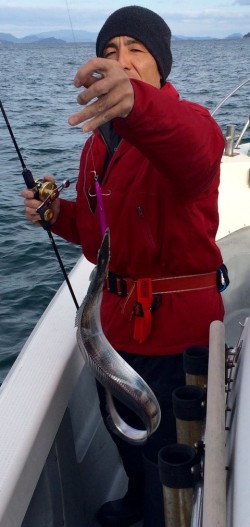 さんさん丸 釣果