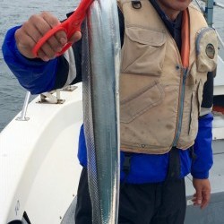 さんさん丸 釣果