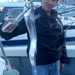 さんさん丸 釣果