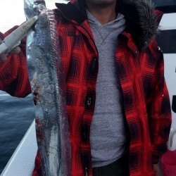 さんさん丸 釣果