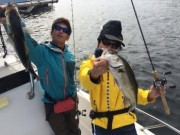 シーマジカル 釣果