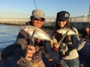 シーマジカル 釣果