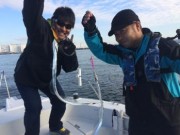 シーマジカル 釣果