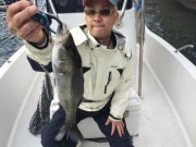 シーマジカル 釣果