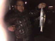 シーマジカル 釣果