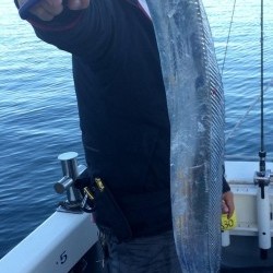 さんさん丸 釣果