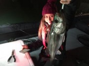 シーマジカル 釣果