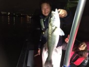 シーマジカル 釣果