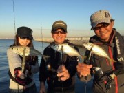 シーマジカル 釣果