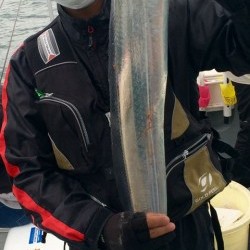 さんさん丸 釣果