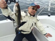 シーマジカル 釣果