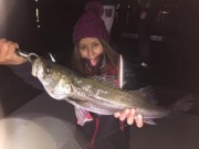 シーマジカル 釣果