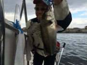 シーマジカル 釣果