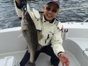 シーマジカル 釣果