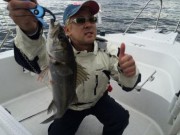 シーマジカル 釣果