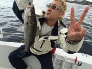 シーマジカル 釣果