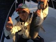 シーマジカル 釣果