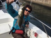 シーマジカル 釣果