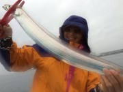 シーマジカル 釣果