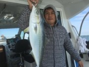 シーマジカル 釣果