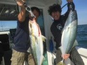 シーマジカル 釣果