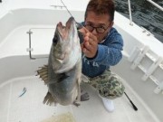 シーマジカル 釣果