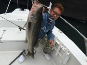 シーマジカル 釣果