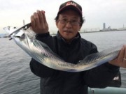 シーマジカル 釣果