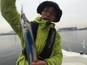 シーマジカル 釣果