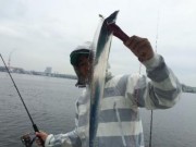 シーマジカル 釣果