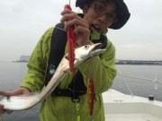 シーマジカル 釣果