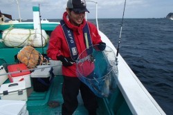 清和丸 釣果