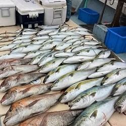 宝生丸 釣果
