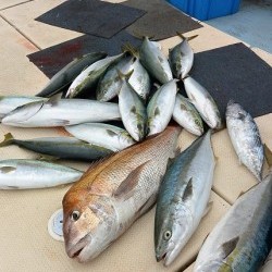 宝生丸 釣果