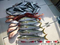 ふじしめ丸 釣果