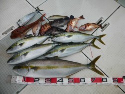 ふじしめ丸 釣果