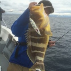 Blue.win 海人丸 釣果